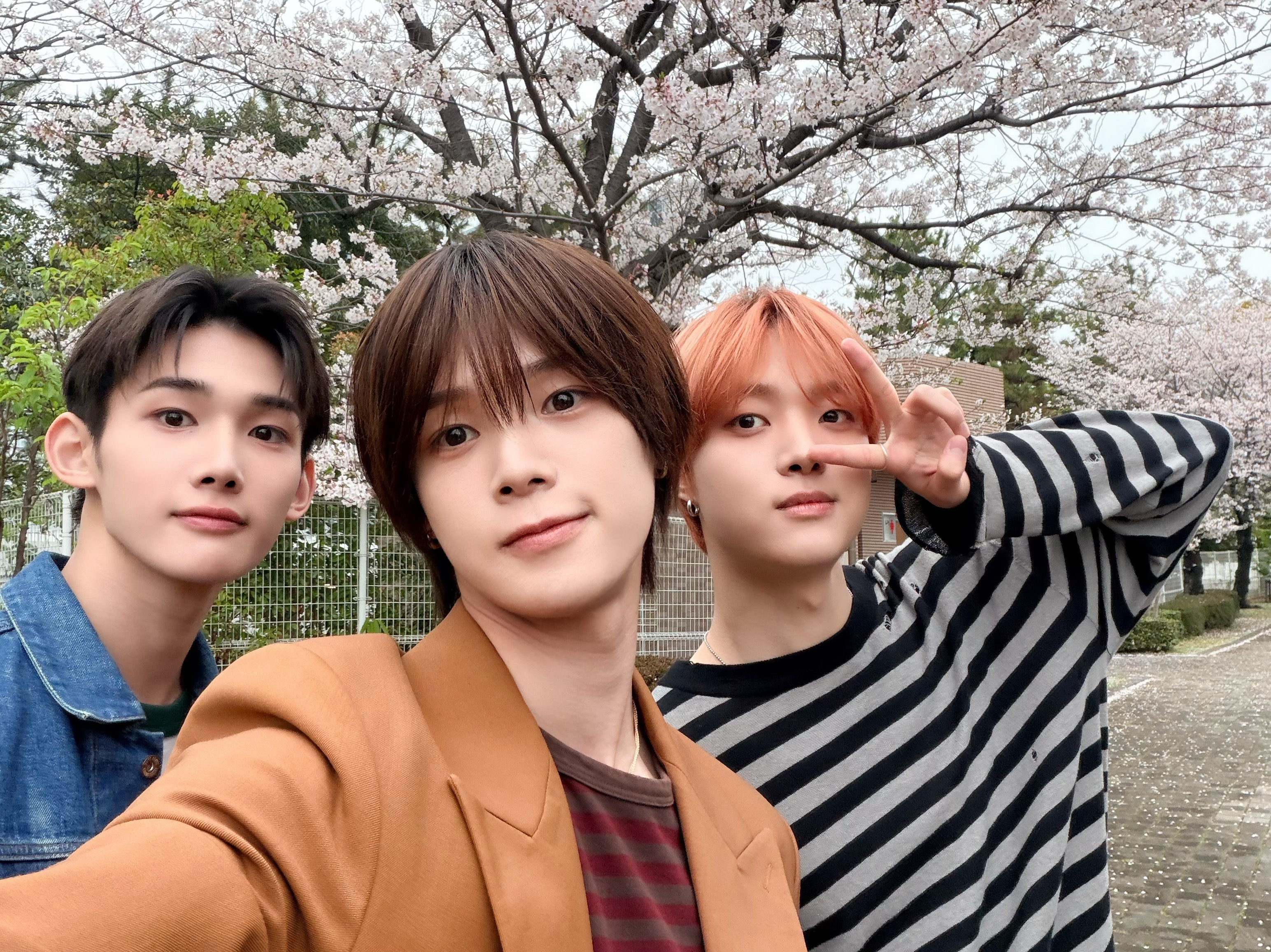 Recent activity shot of K (&TEAM)