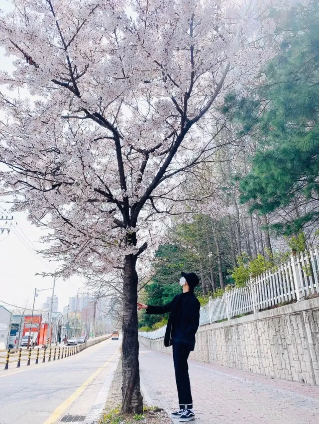 星和 (ATEEZ)的最新照片