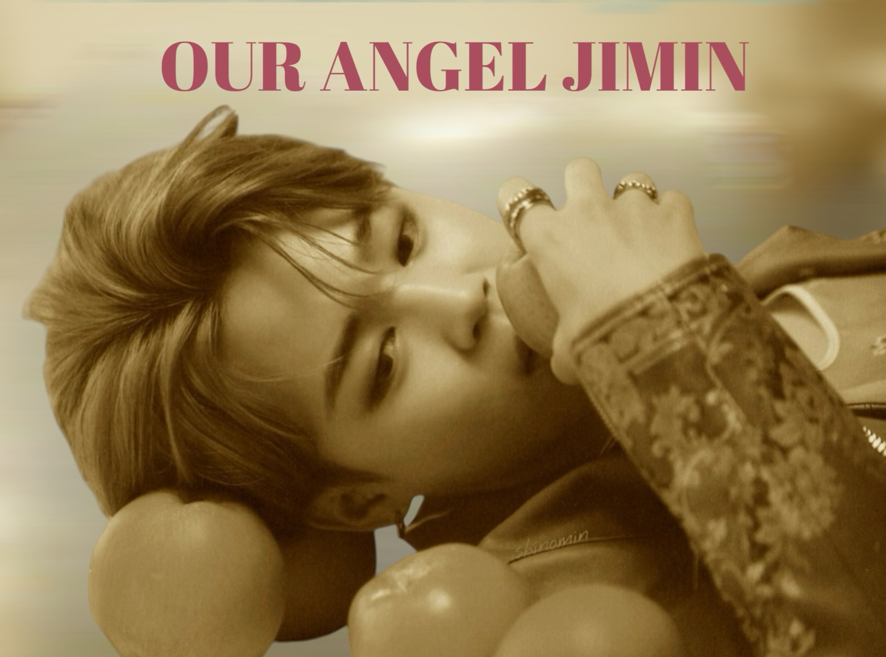 A moment captured by Jimin (BTS)'s fan