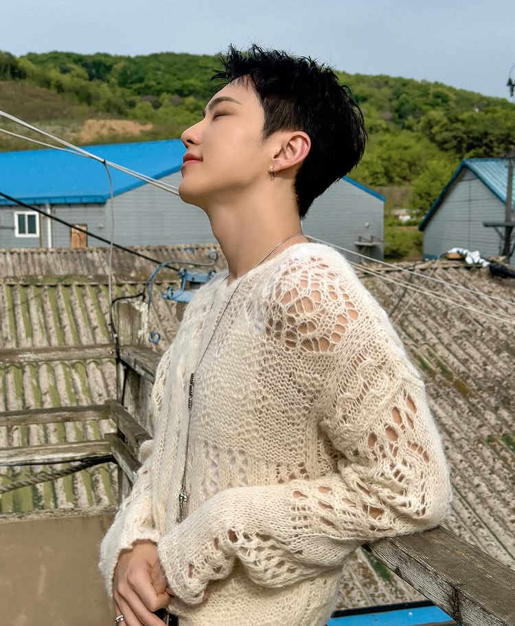 A moment captured by Hoshi (SEVENTEEN)'s fan