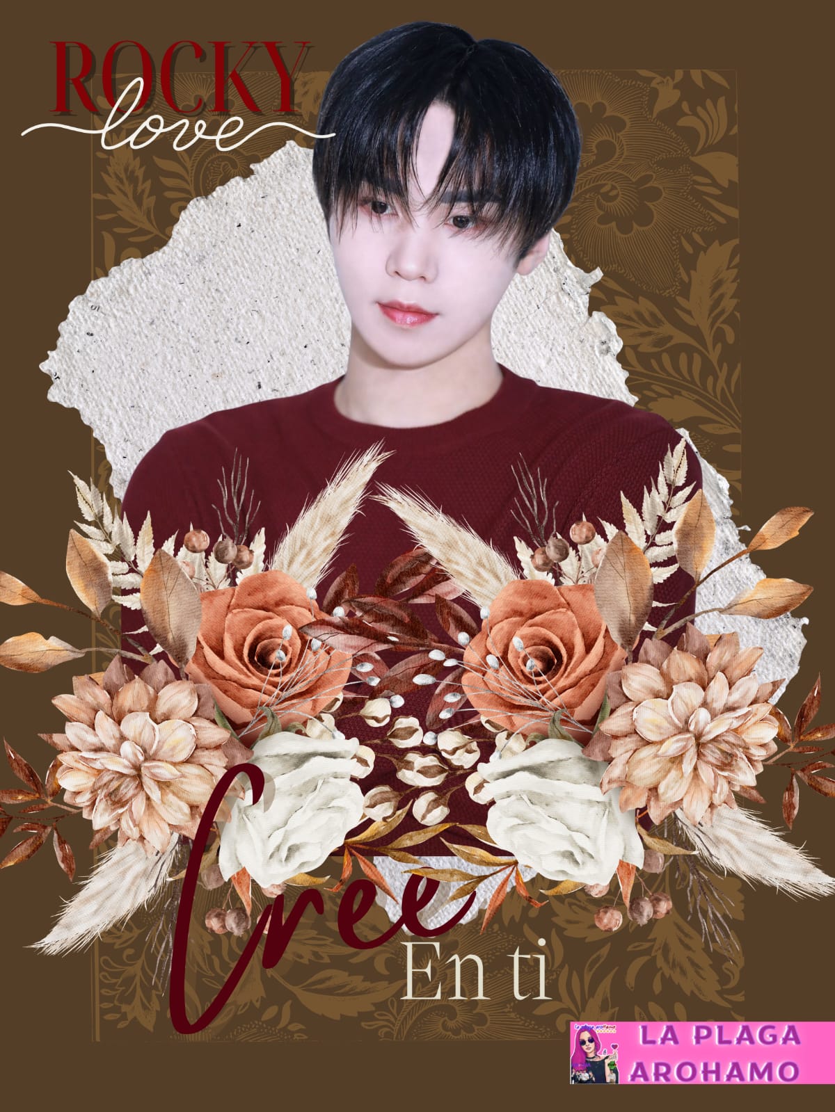 Recent activity shot of Rocky