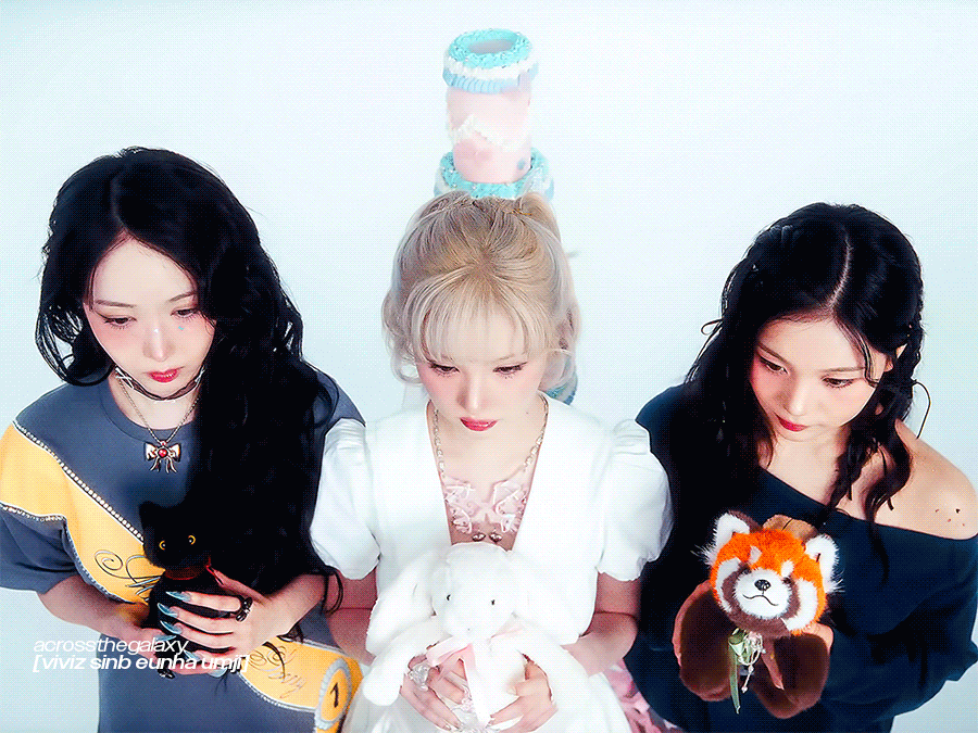 A moment captured by VIVIZ's fan