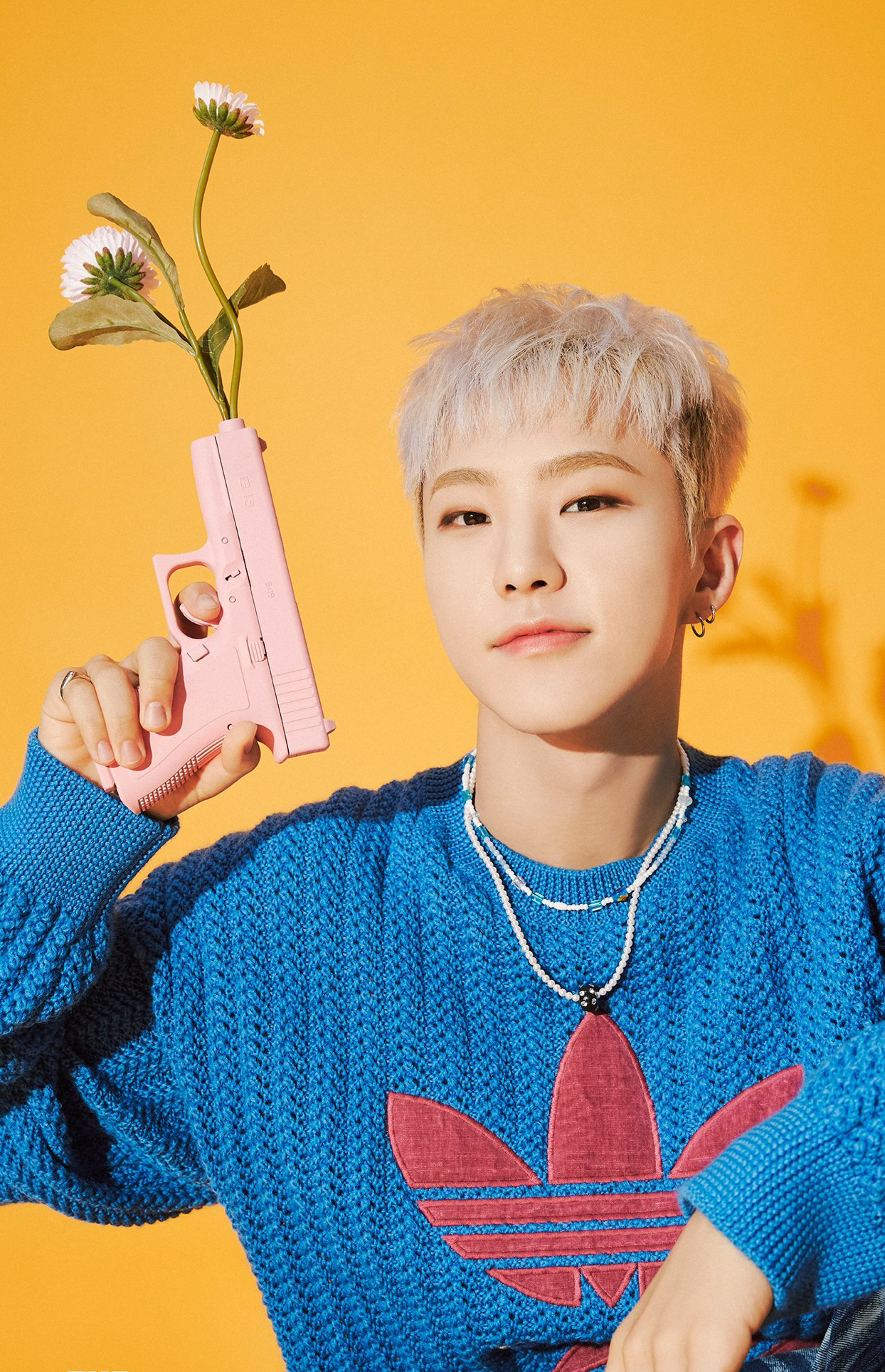 A moment captured by Hoshi (SEVENTEEN)'s fan