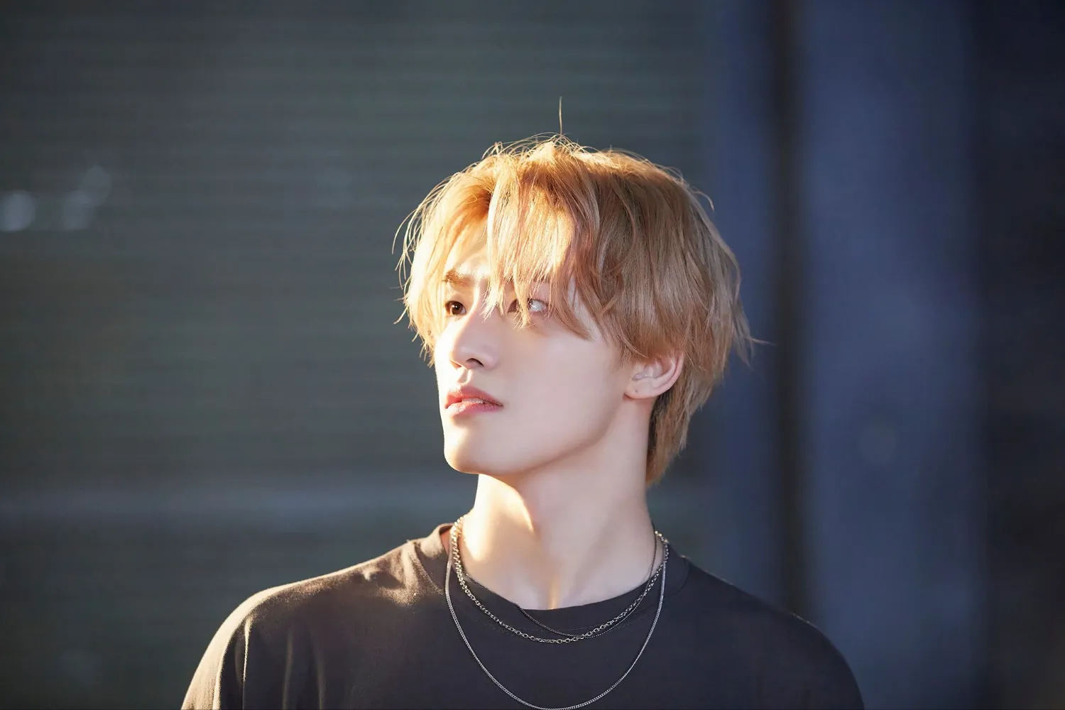 SEVENTEEN粉絲拍下的瞬間