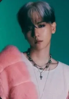 伯賢 (EXO)粉絲拍下的瞬間