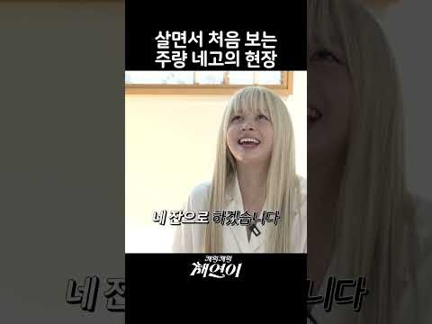 이채연 최근 활동샷
