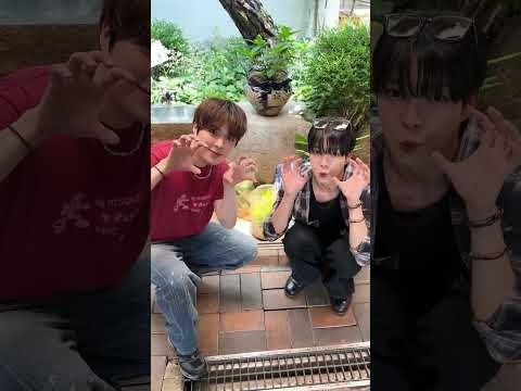 Recent activity shot of VERIVERY