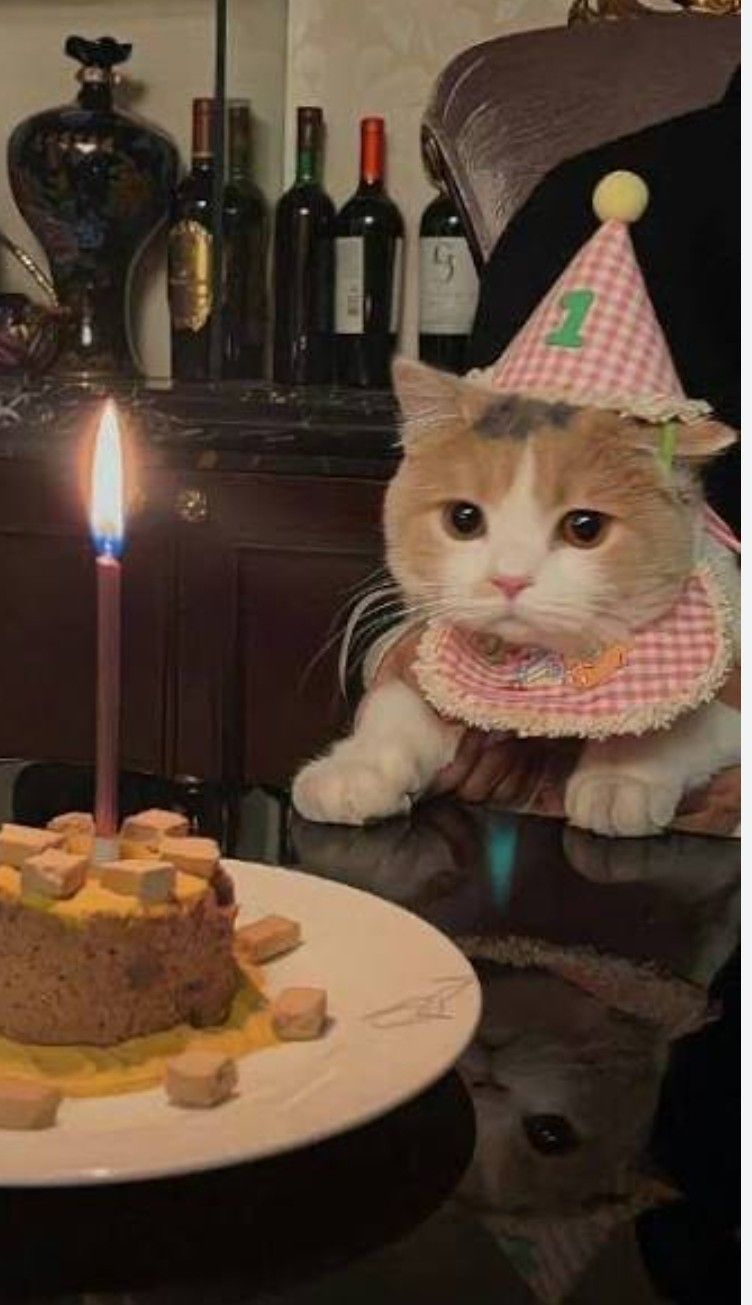 Recent activity shot of Moonbin (ASTRO)