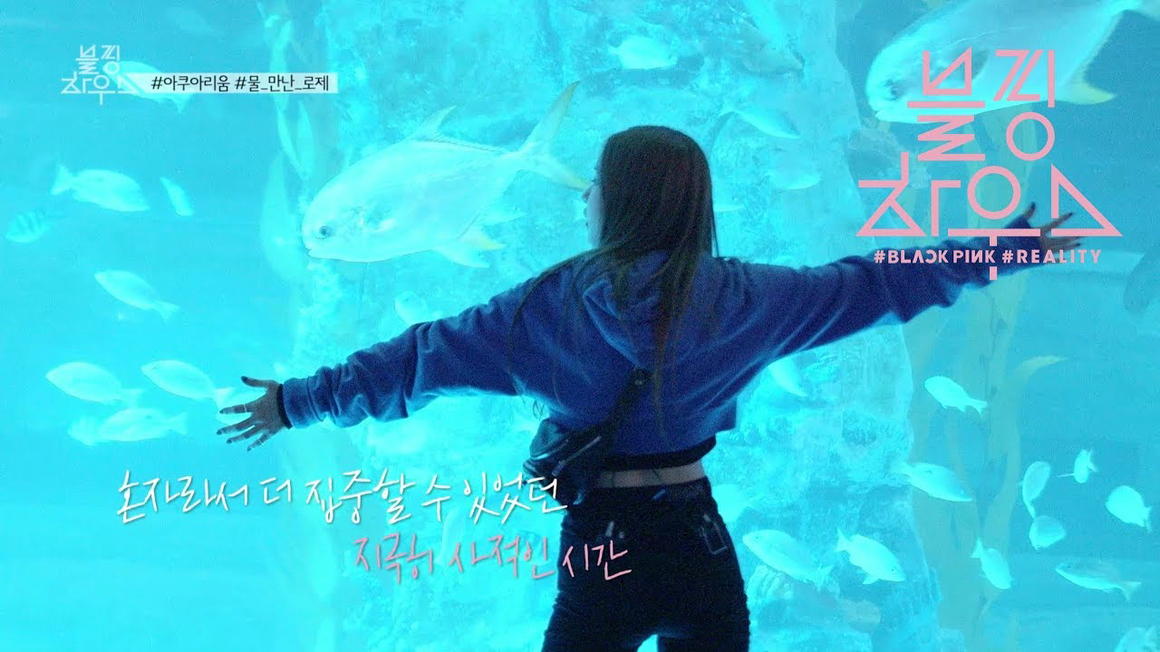 Momen yang diabadikan oleh penggemar BLACKPINK