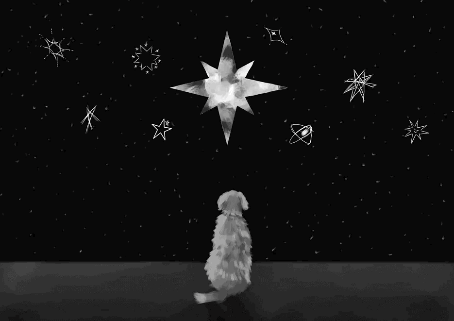 Recent activity shot of Hyunjin (Stray Kids)