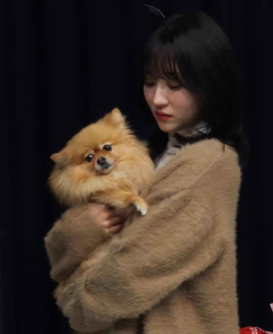 드림캐쳐 팬이 찍은 순간