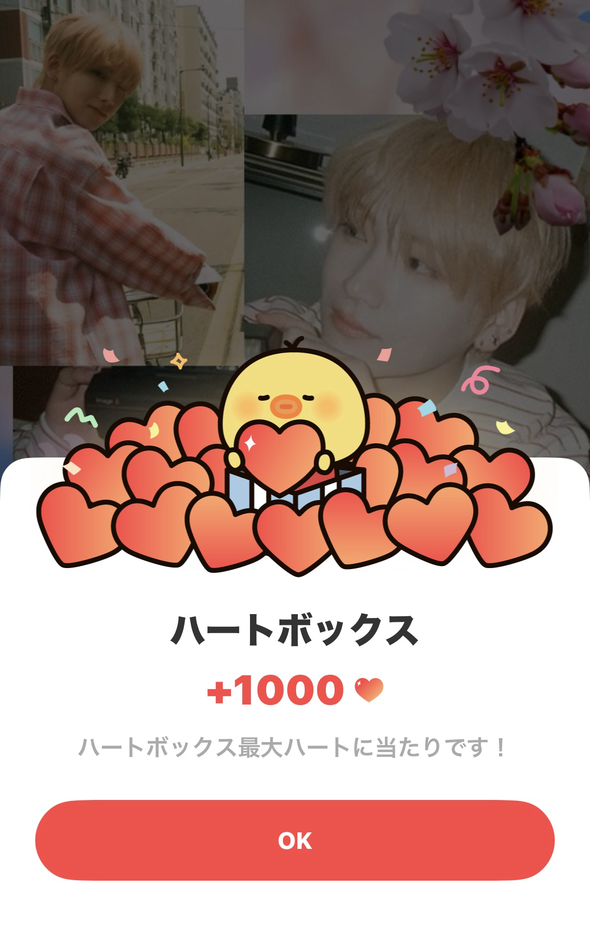 Behind-the-scenes cut of Yuma (&TEAM)