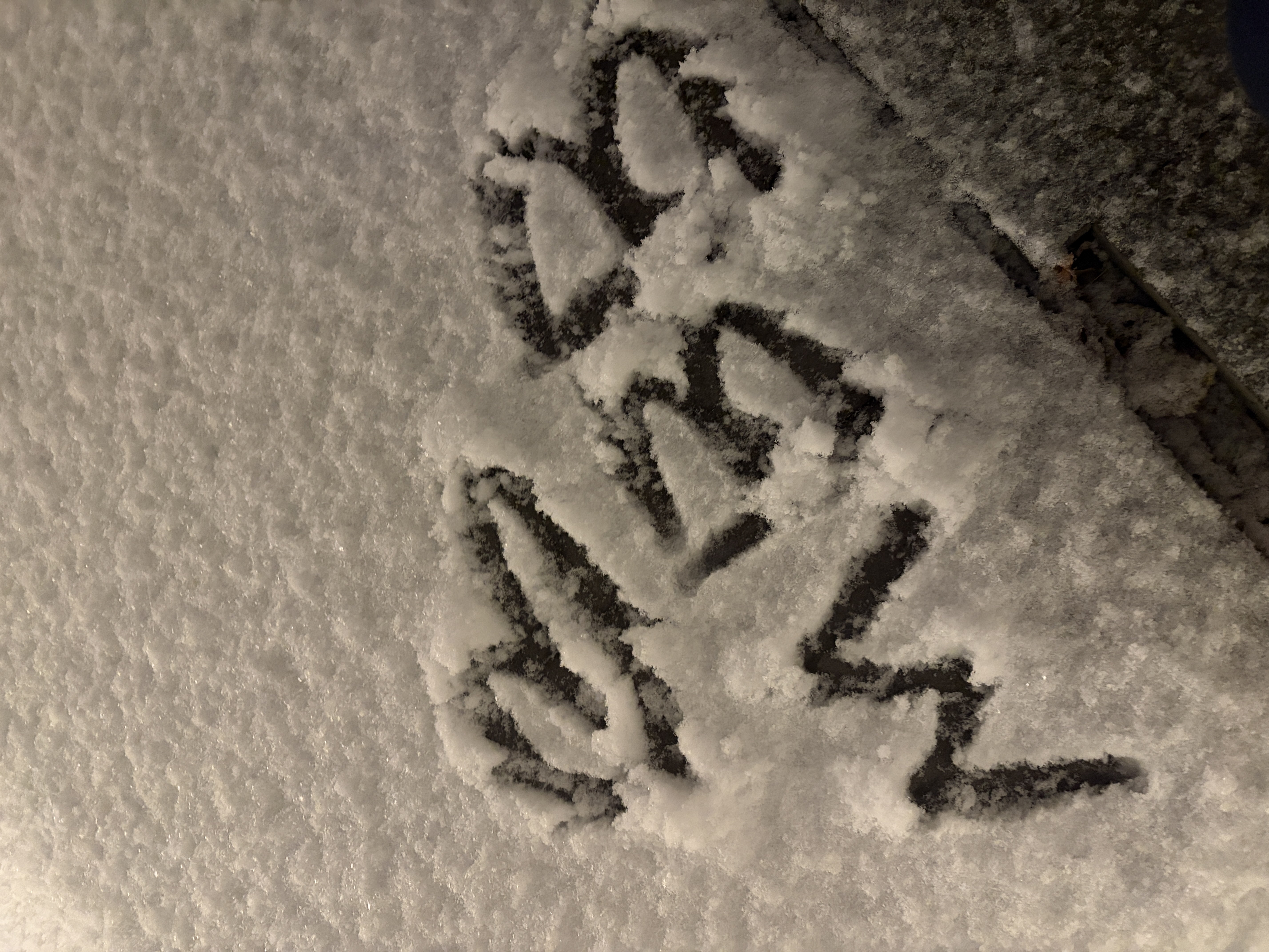 Latest photo of I.M (MONSTA X)