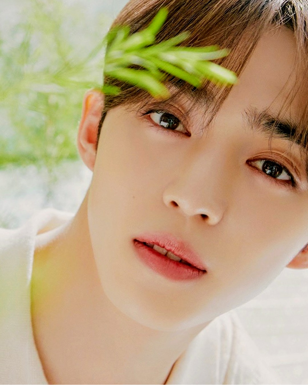 A moment captured by S.Coups (SEVENTEEN)'s fan