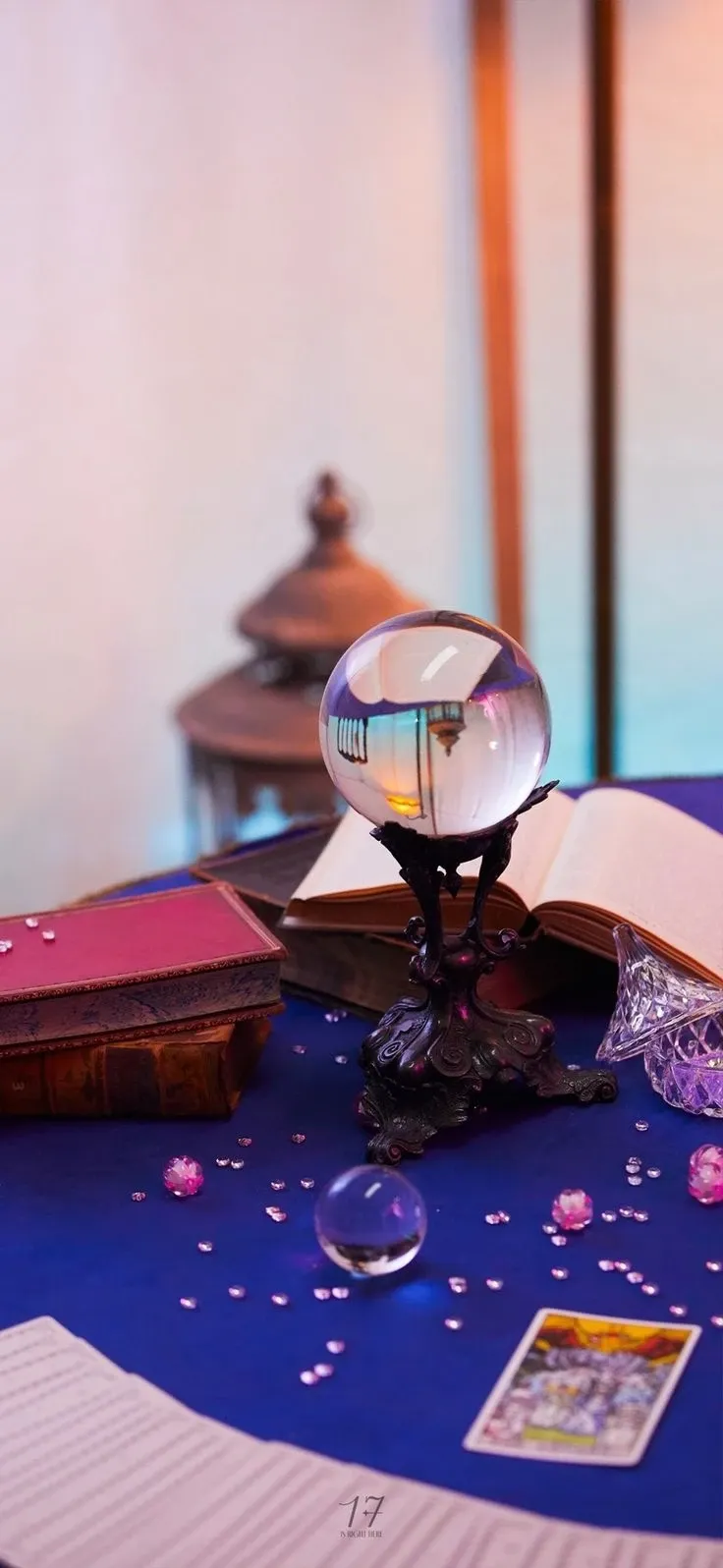 세븐틴 팬이 찍은 순간