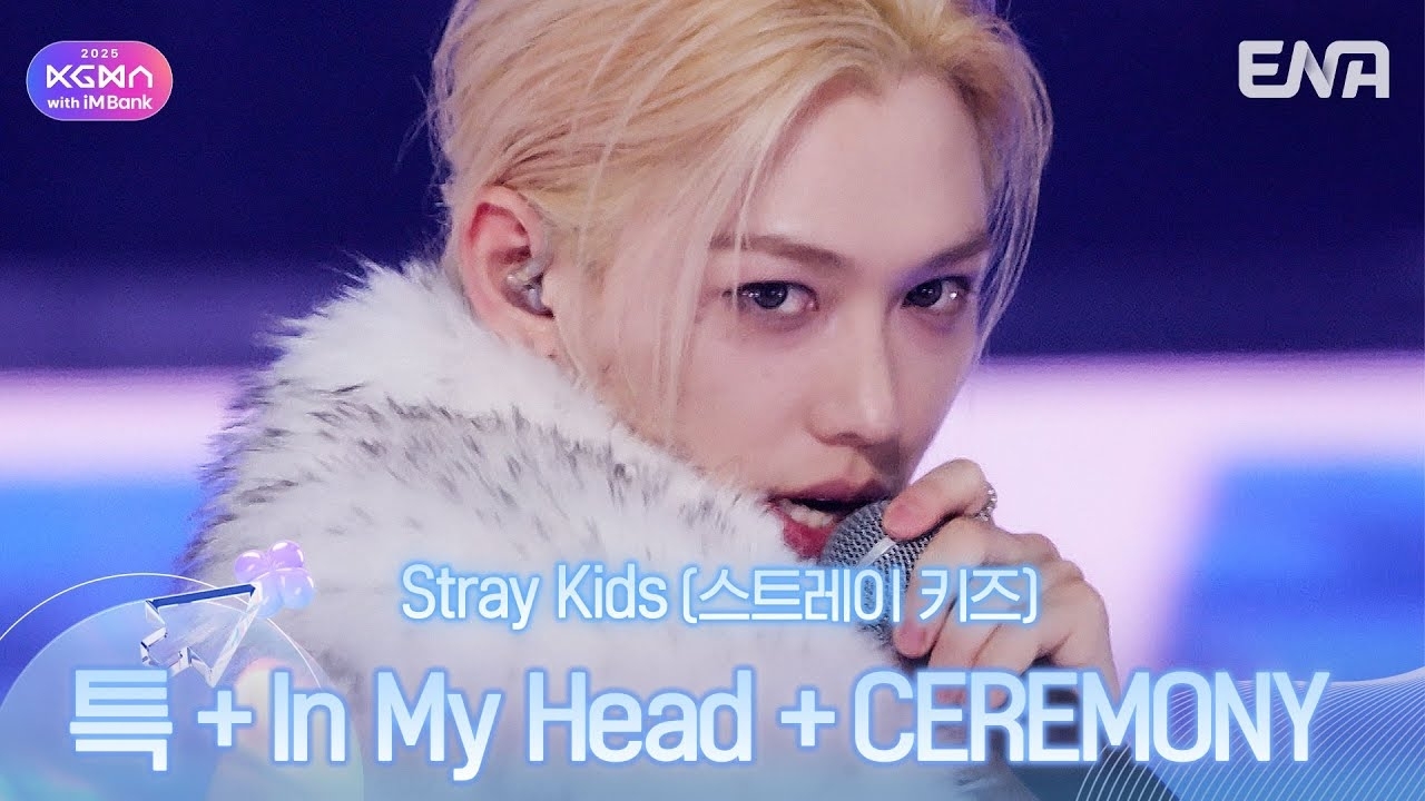 Recent activity shot of Stray Kids