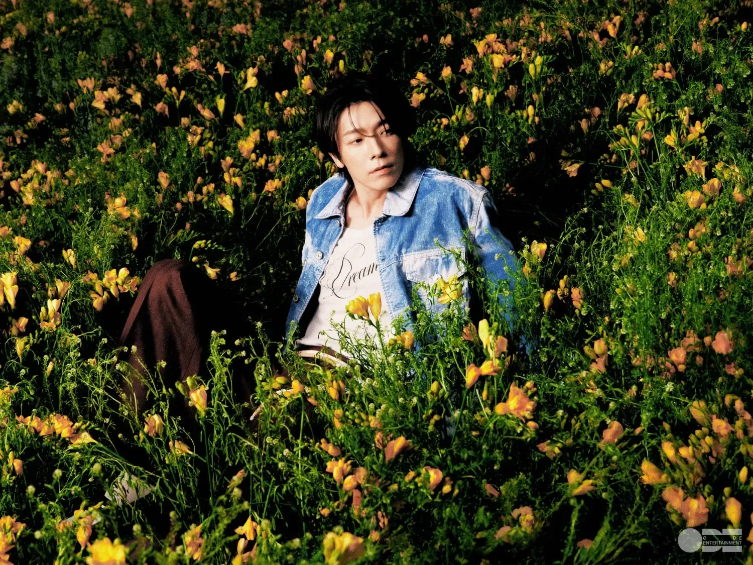 슈퍼주니어 팬이 찍은 순간