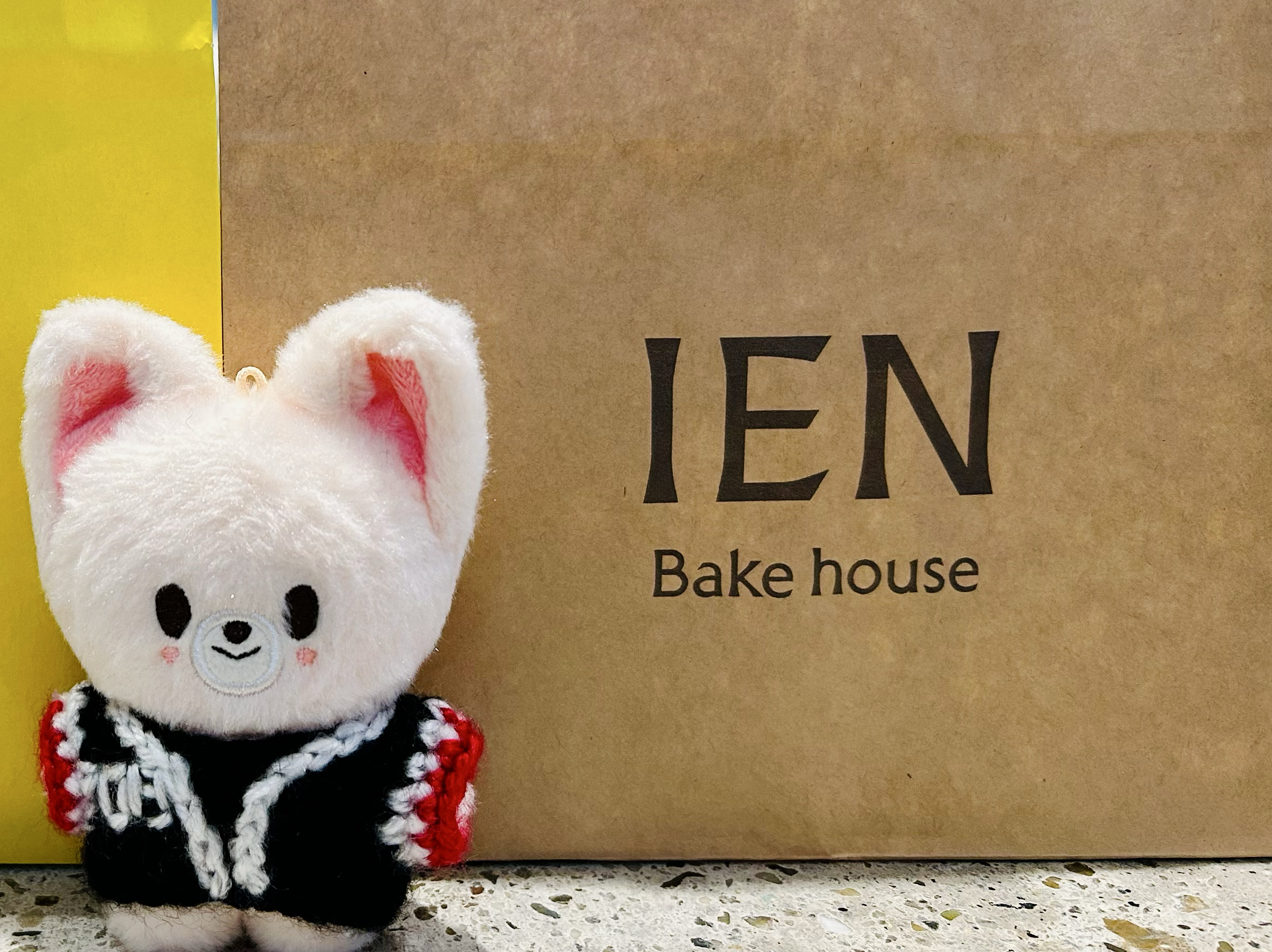 A moment captured by I.N (Stray Kids)'s fan