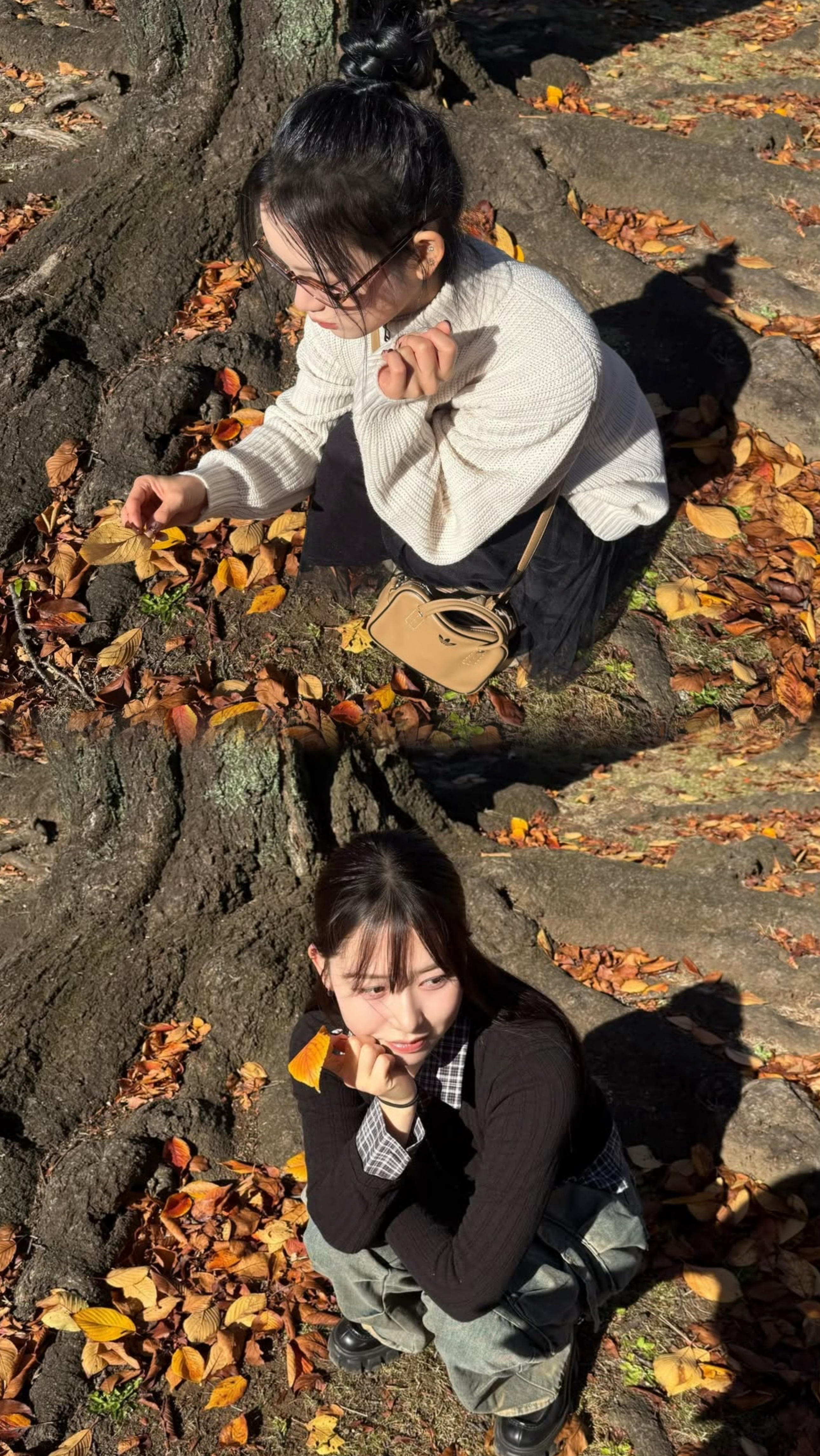 Today's most popular wallpaper in the Sakurai Miu (ME:I) community