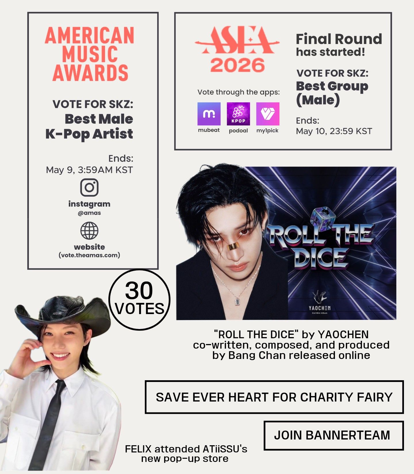 Stray Kids 팬이 찍은 순간