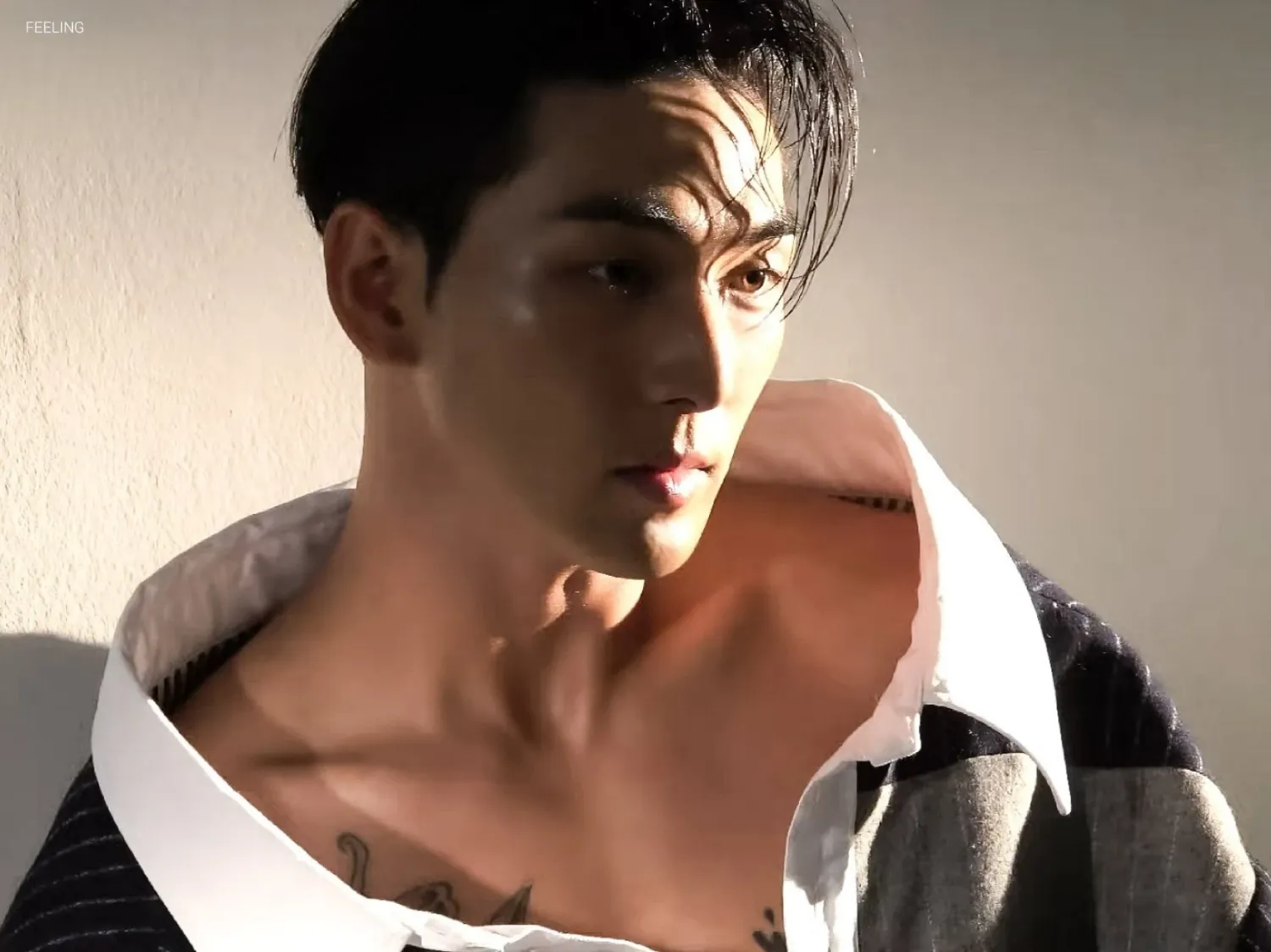 백호의 최신 사진