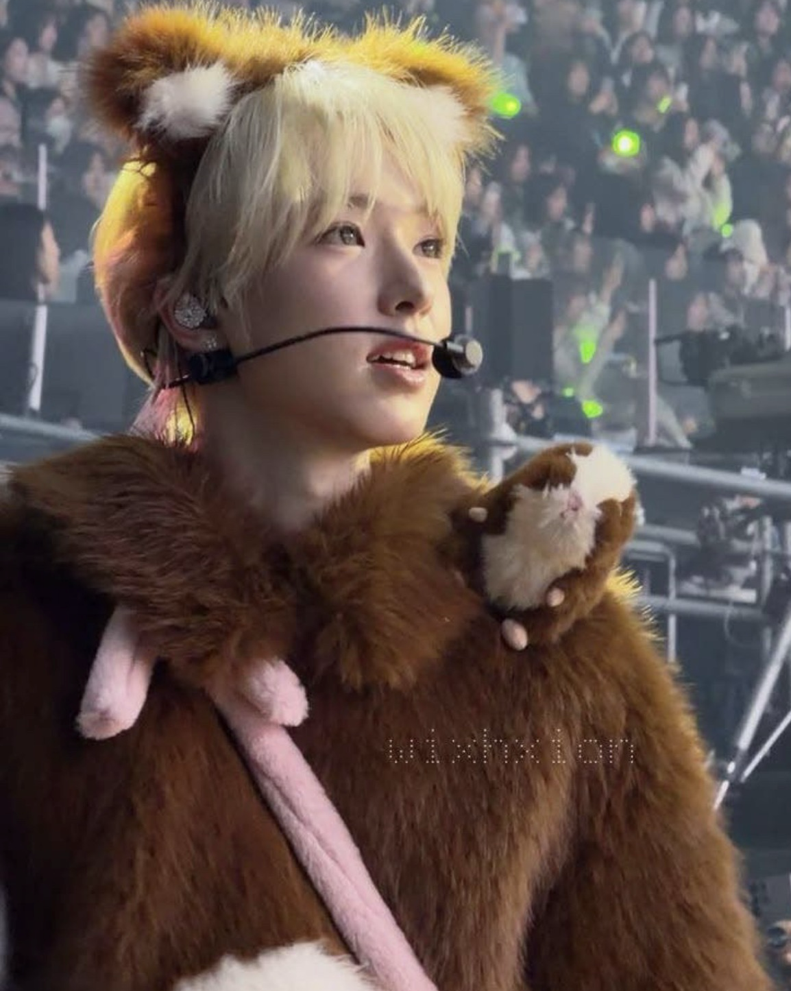 A moment captured by Sakuya (NCT WISH)'s fan