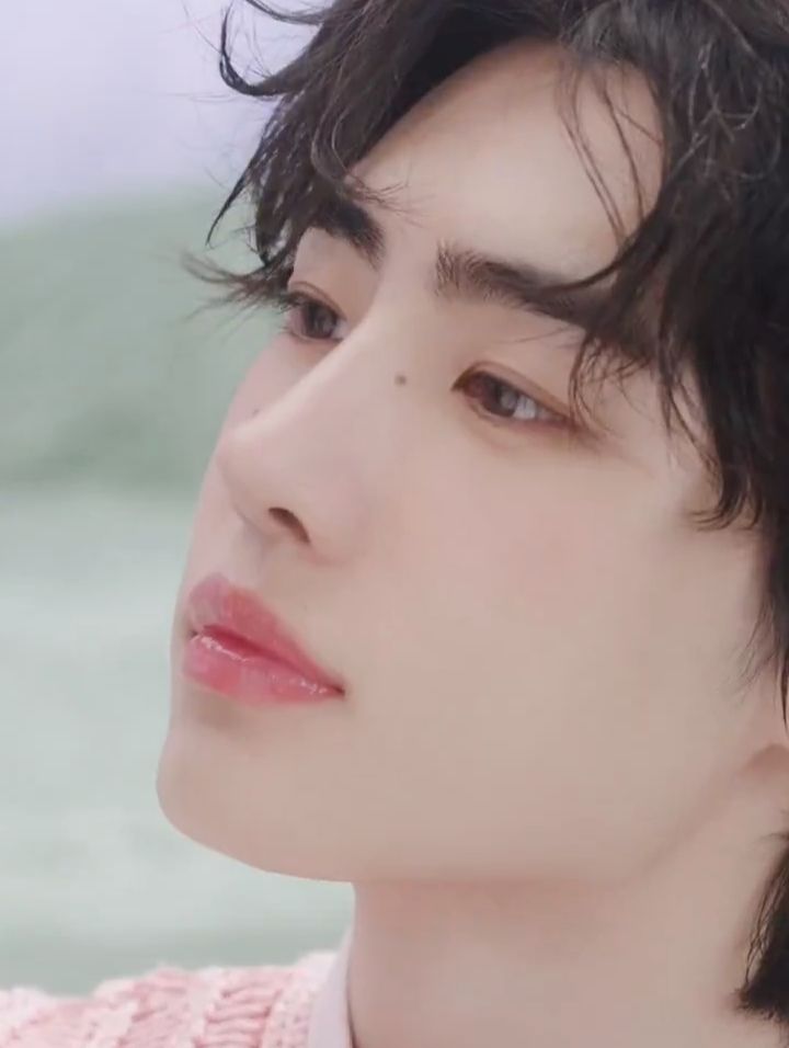 A moment captured by Sunghoon (ENHYPEN)'s fan