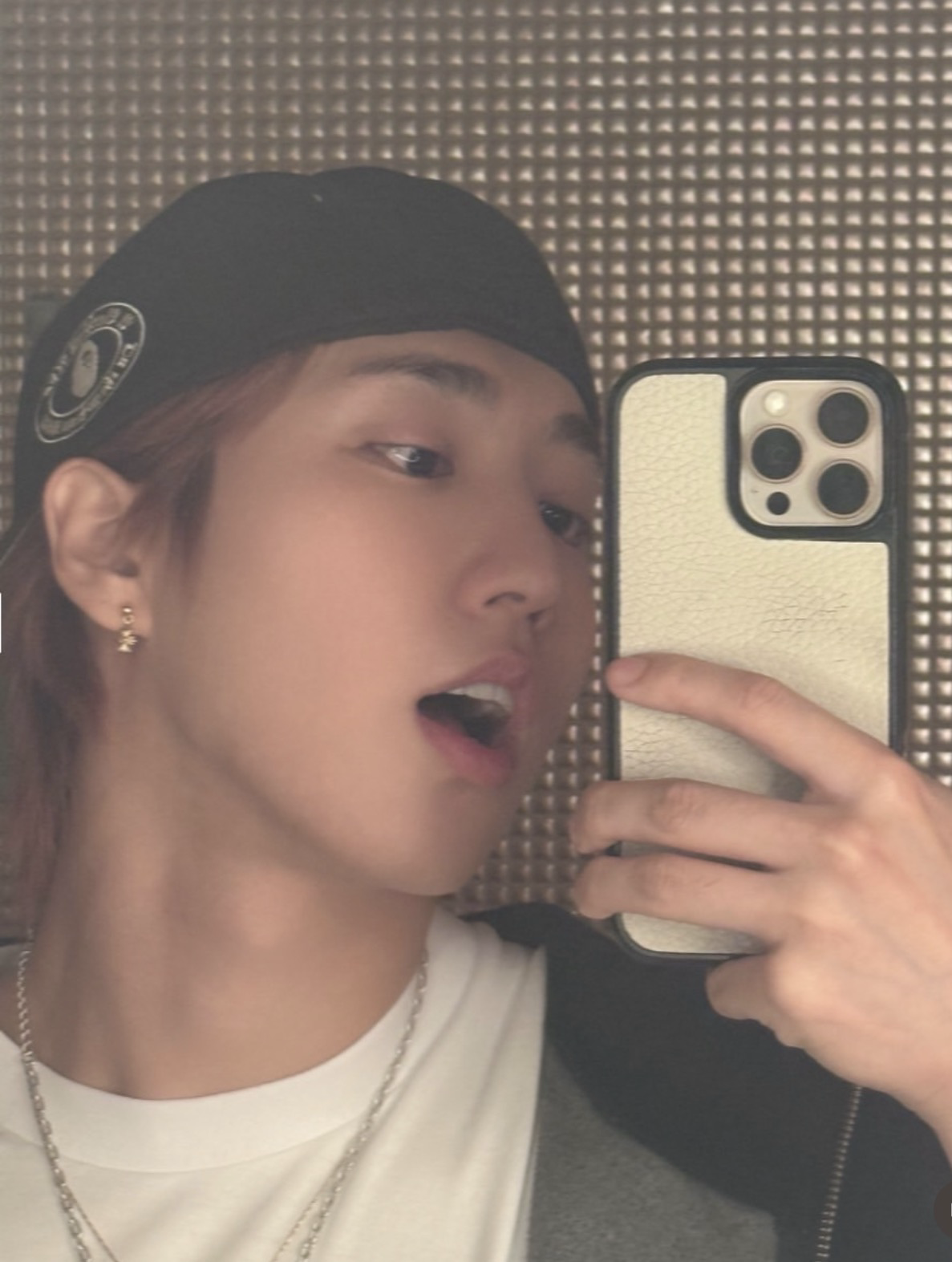 한 (Stray Kids) 팬이 찍은 순간