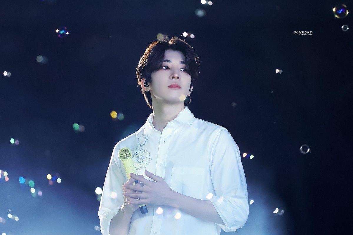 Recent activity shot of Wonwoo (SEVENTEEN)