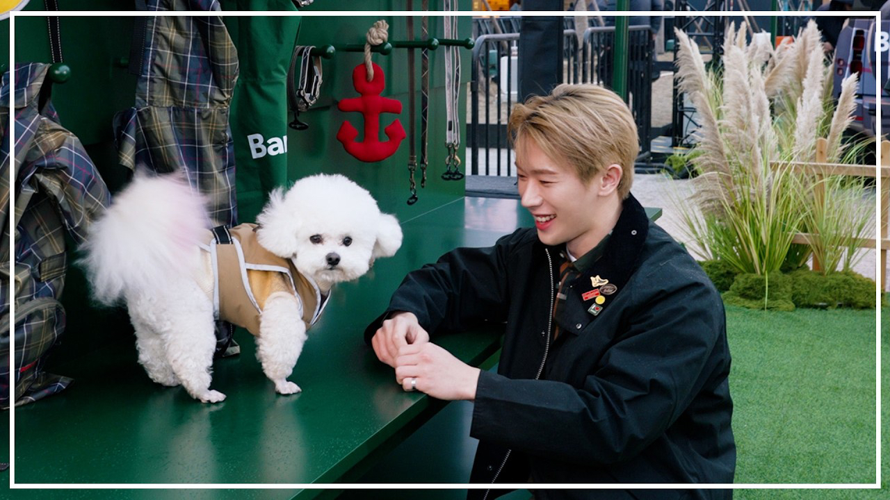 ウォノの最近の活動写真