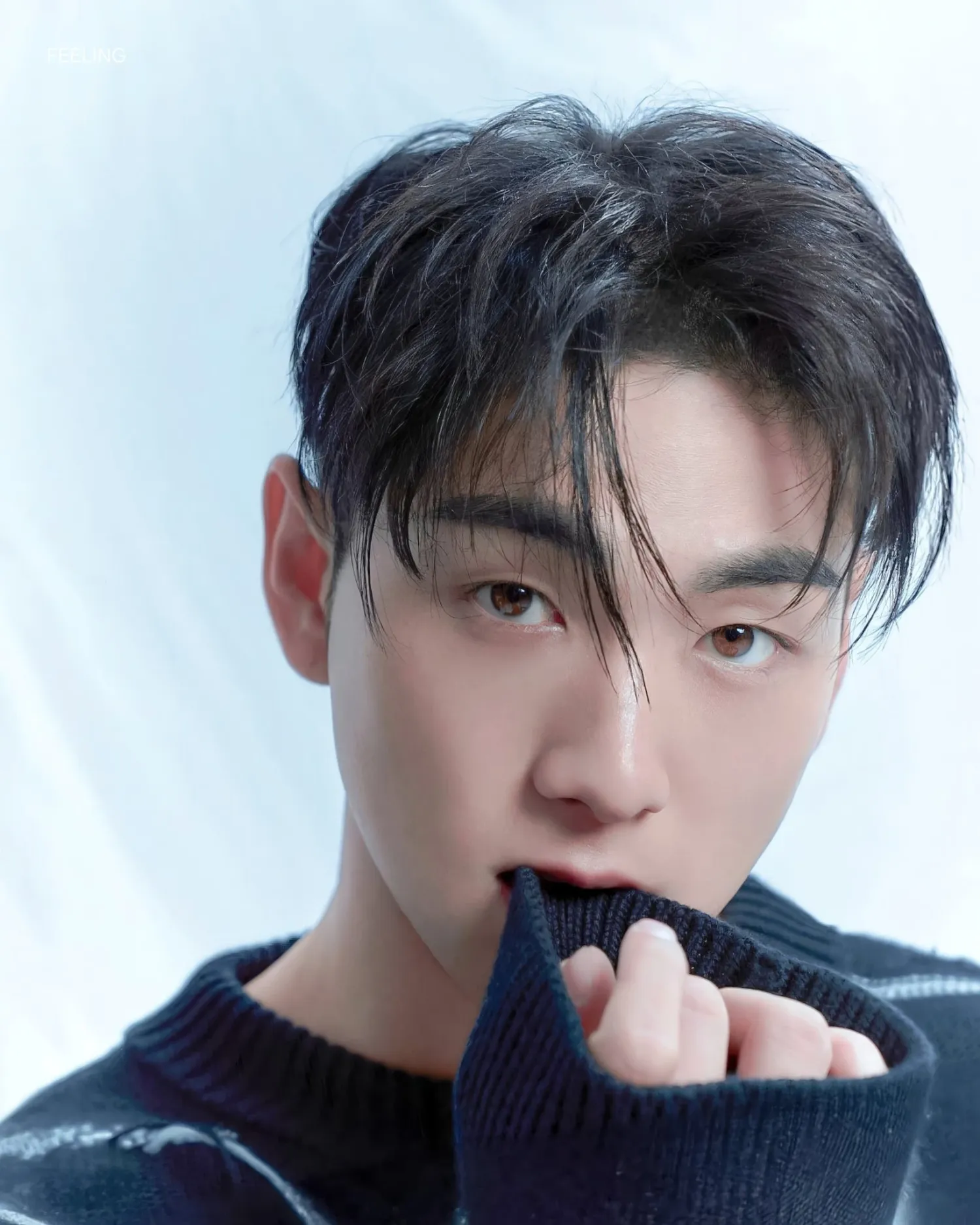 백호의 비하인드 컷