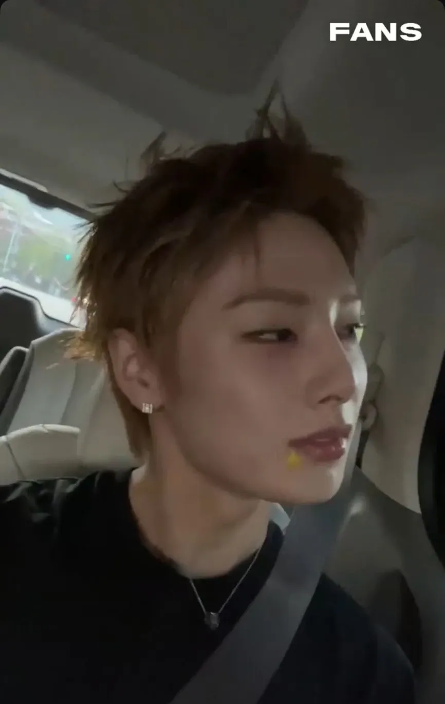 A moment captured by Stray Kids's fan