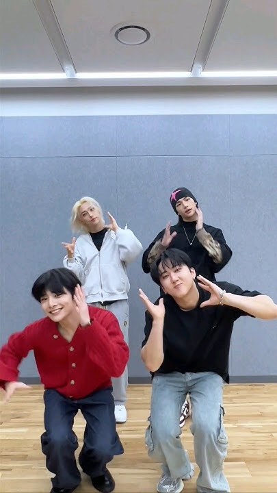 Stray Kids 팬이 찍은 순간