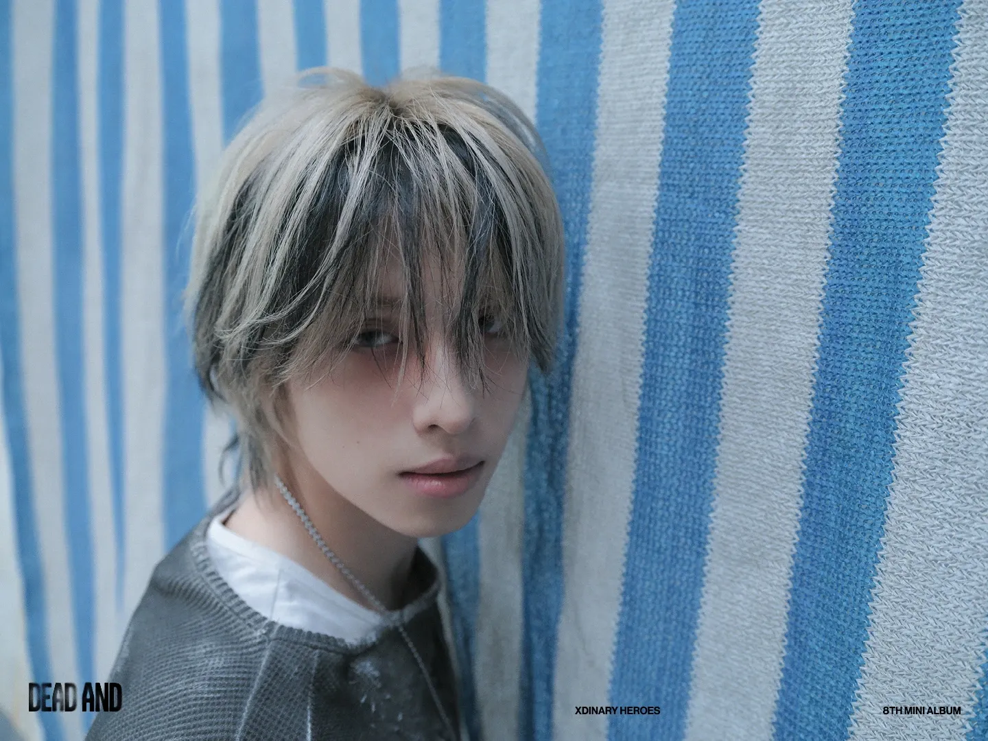 Today's hottest K-pop community feed