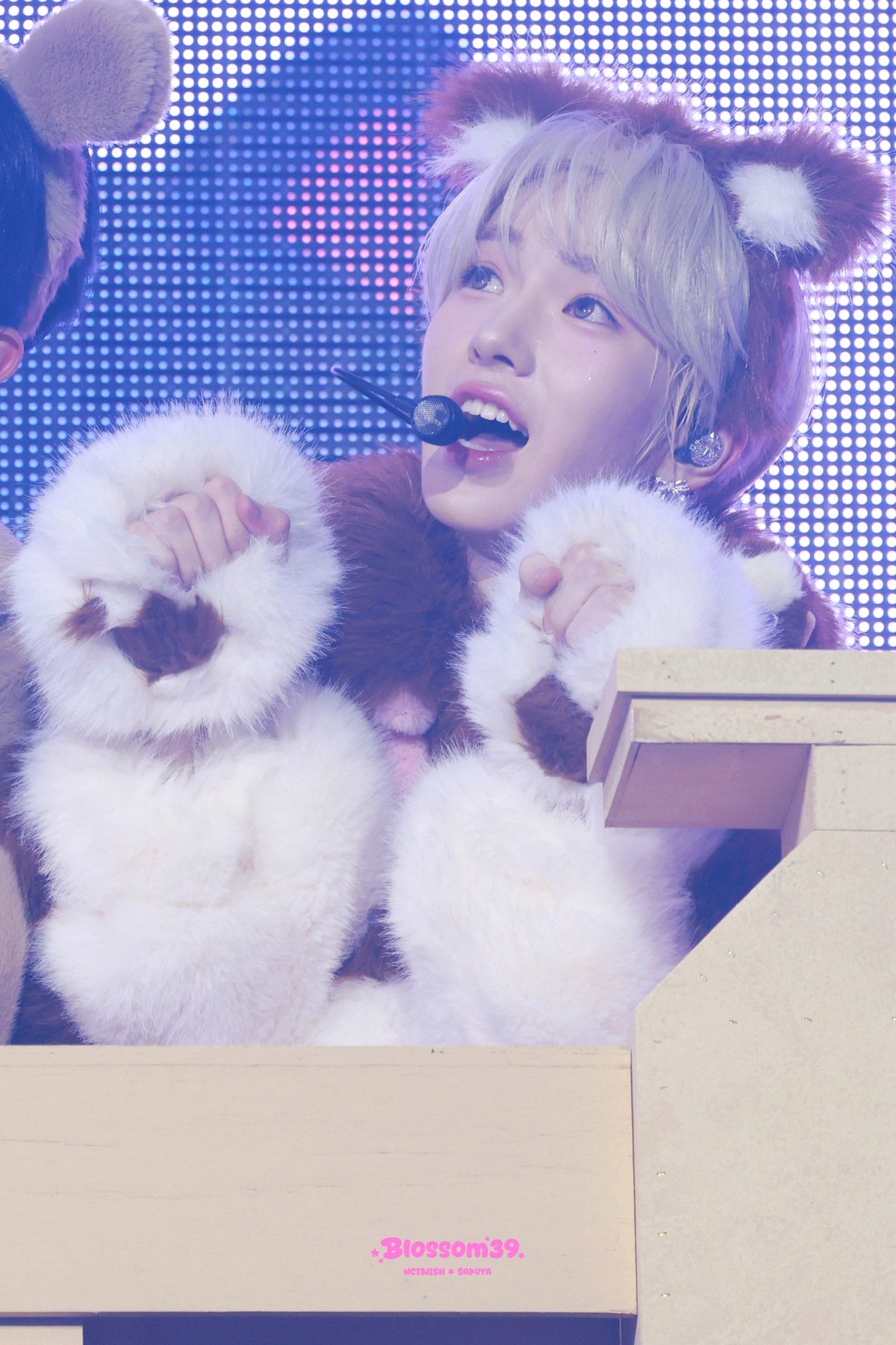 Recent activity shot of Sakuya (NCT WISH)