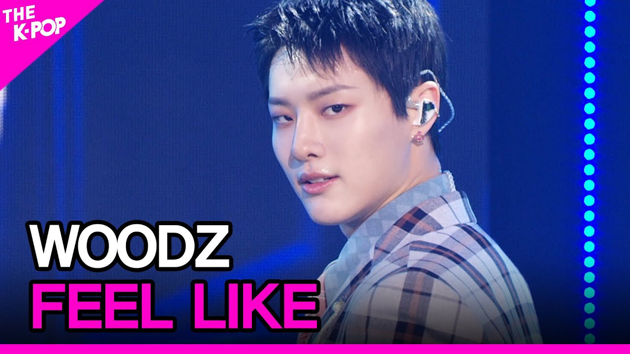 A moment captured by WOODZ's fan