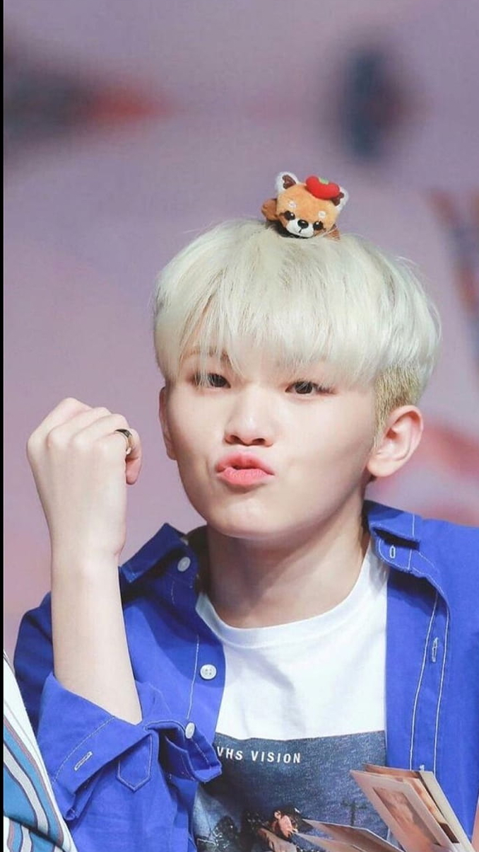 세븐틴 팬이 찍은 순간