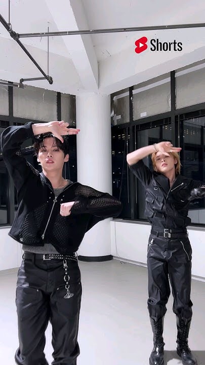 Stray Kids 팬이 찍은 순간