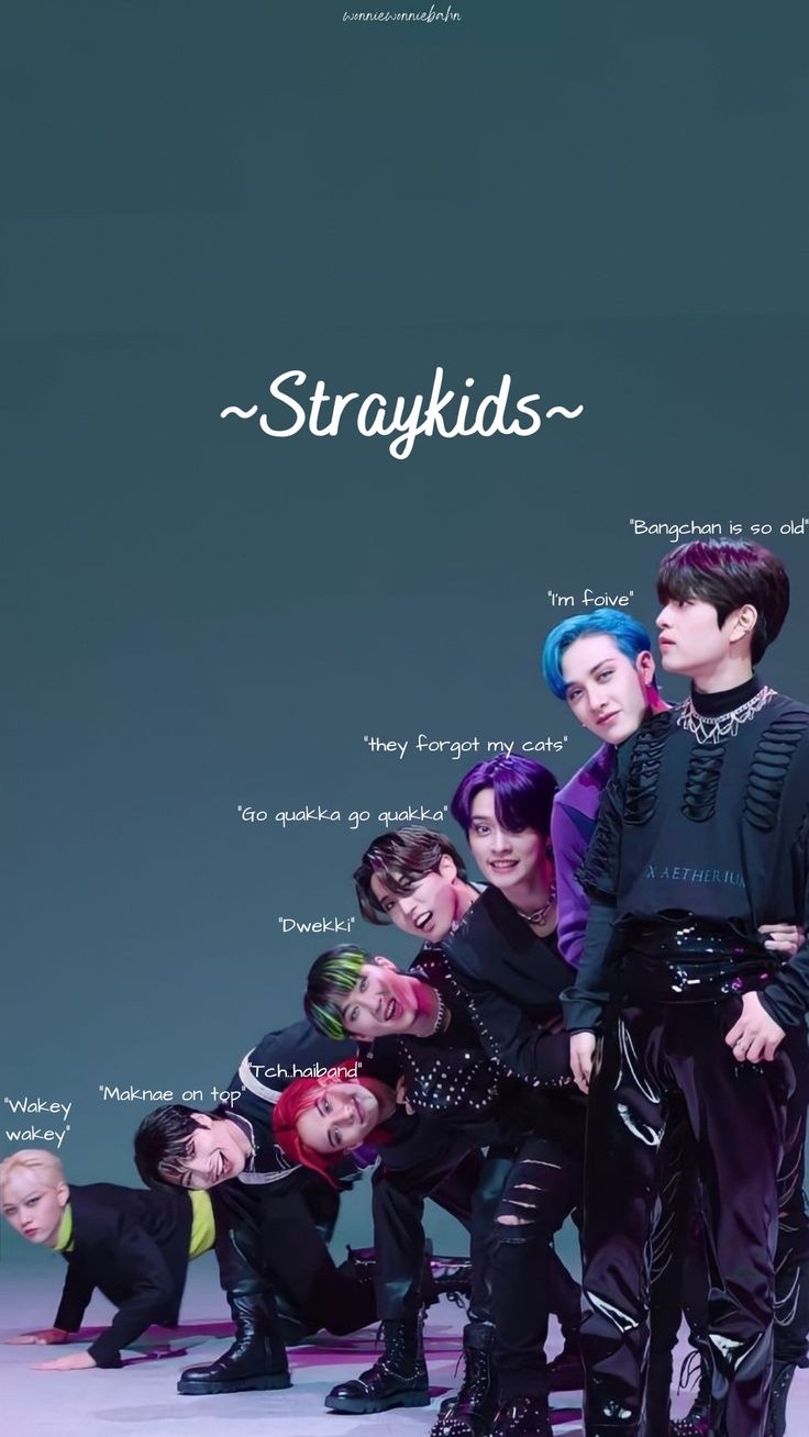 Stray Kids 최근 활동샷