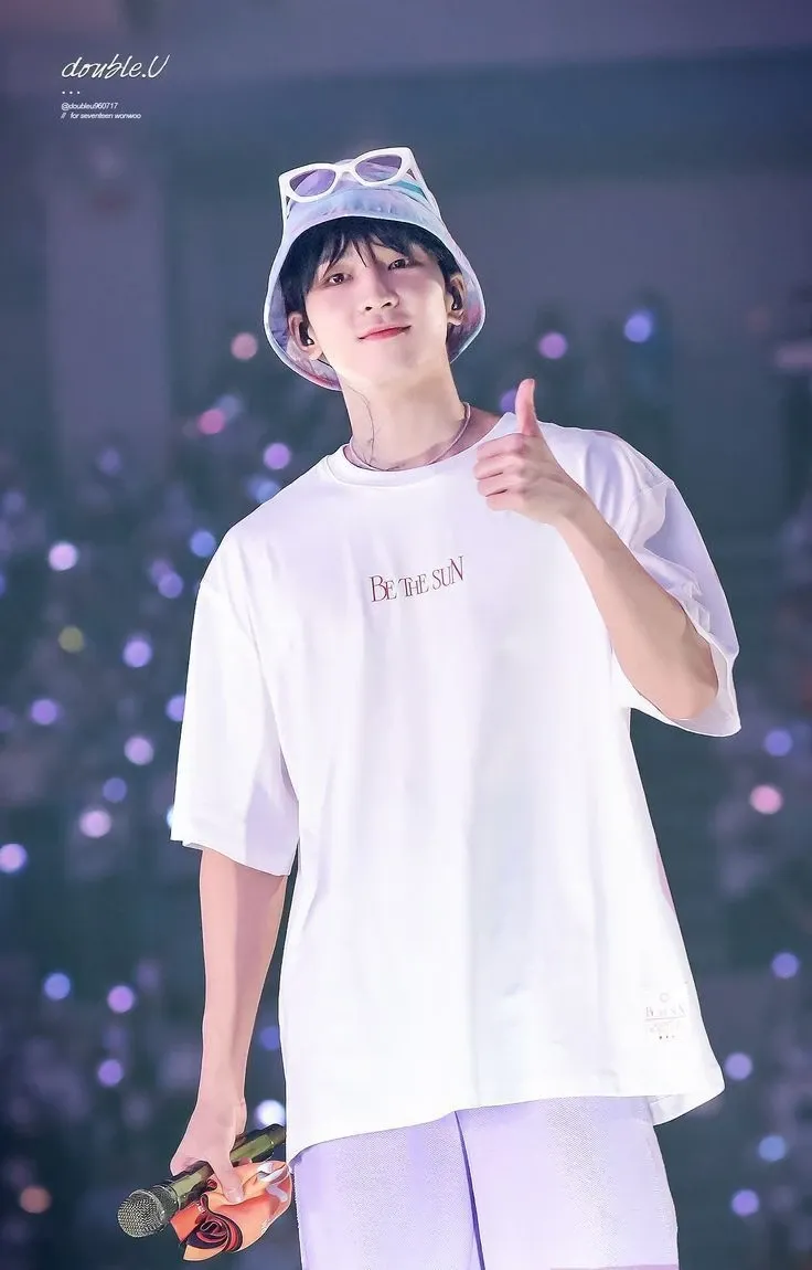 A moment captured by Wonwoo (SEVENTEEN)'s fan