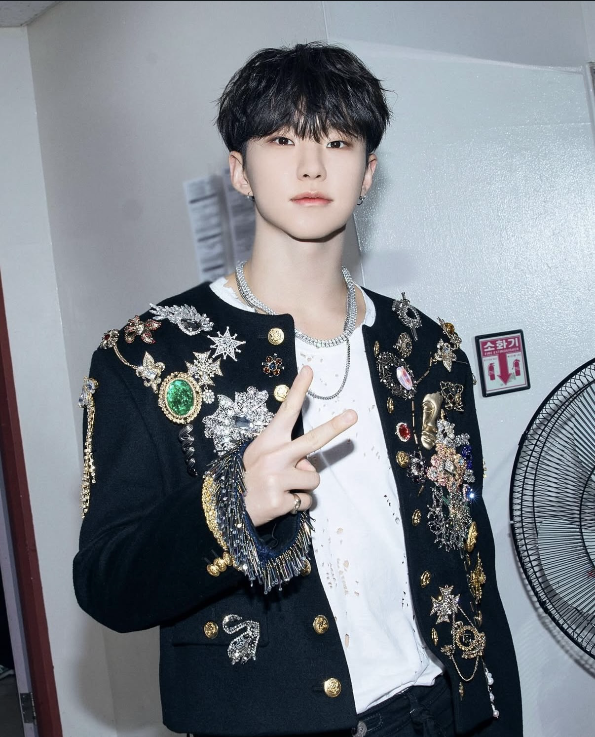 A moment captured by Hoshi (SEVENTEEN)'s fan