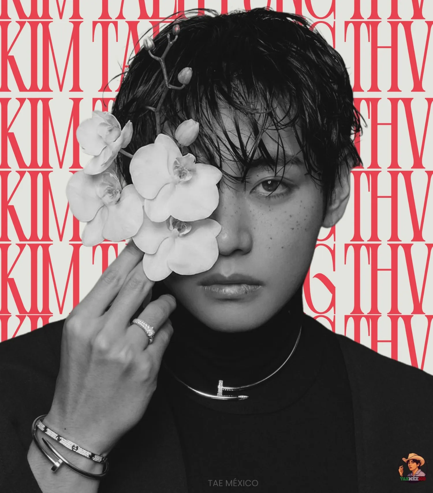 Potret di balik layar V (BTS)