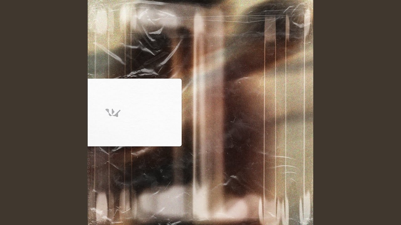 A moment captured by WOODZ's fan