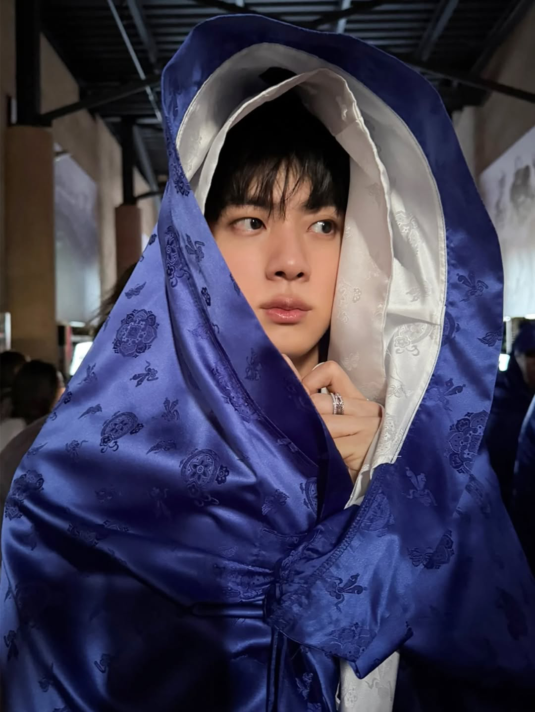 A moment captured by Jin (BTS)'s fan