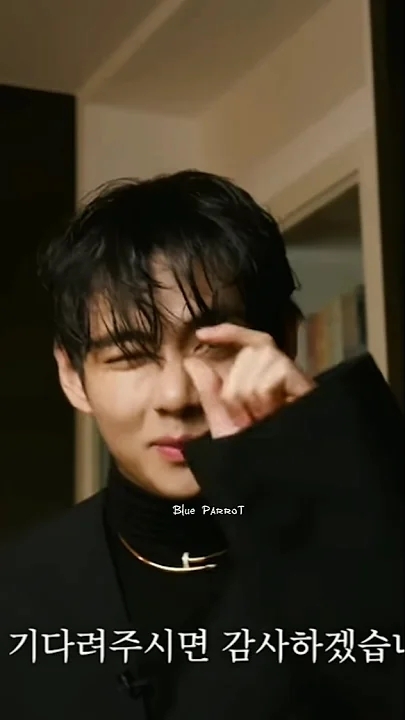 V (防彈少年團)的最新照片