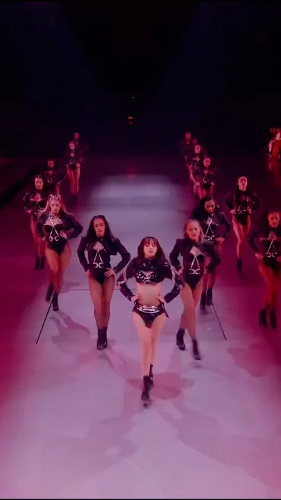 리사 (BLACKPINK) 팬이 찍은 순간