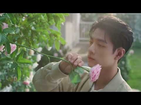 肖戦の最新写真