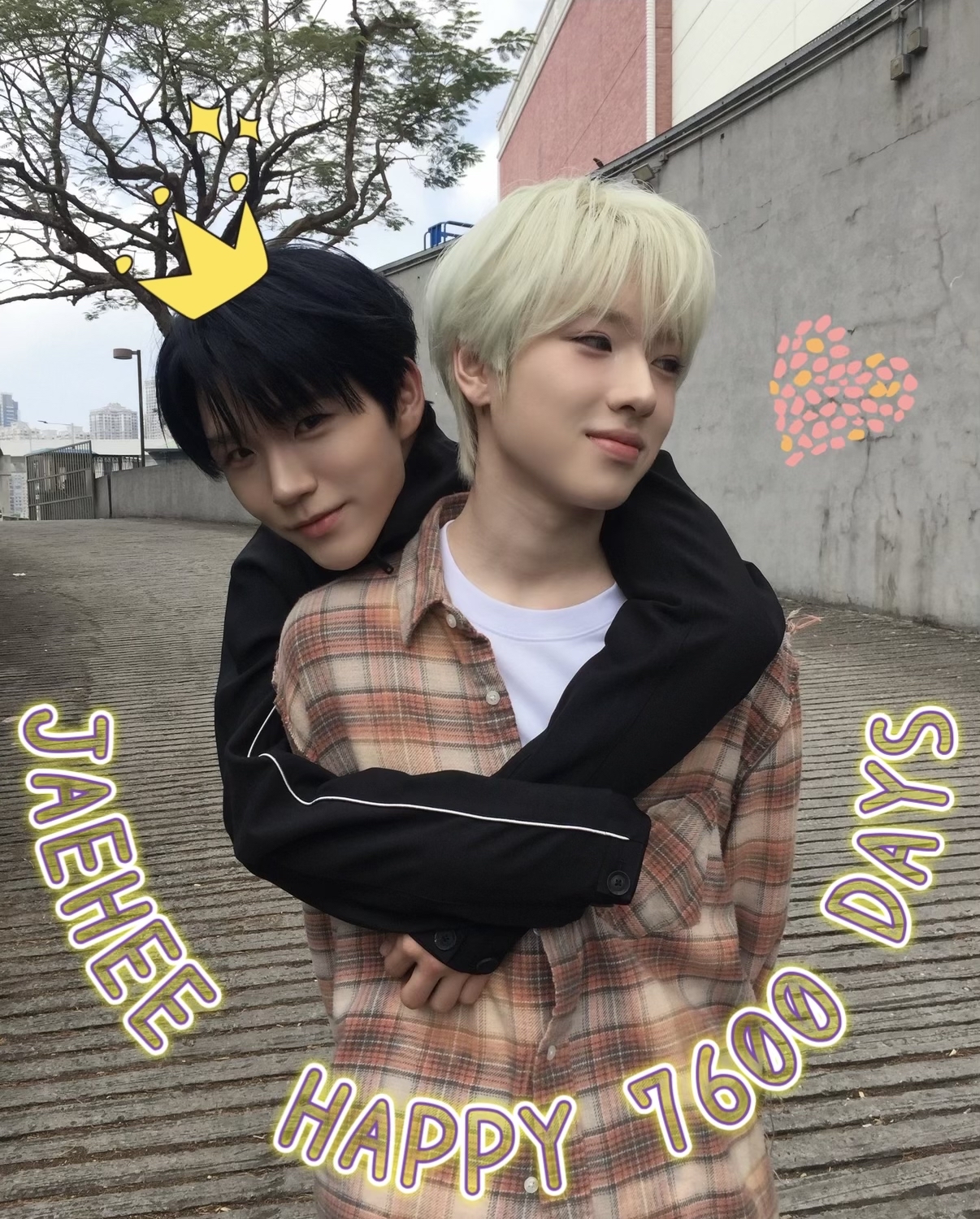 A moment captured by Sakuya (NCT WISH)'s fan