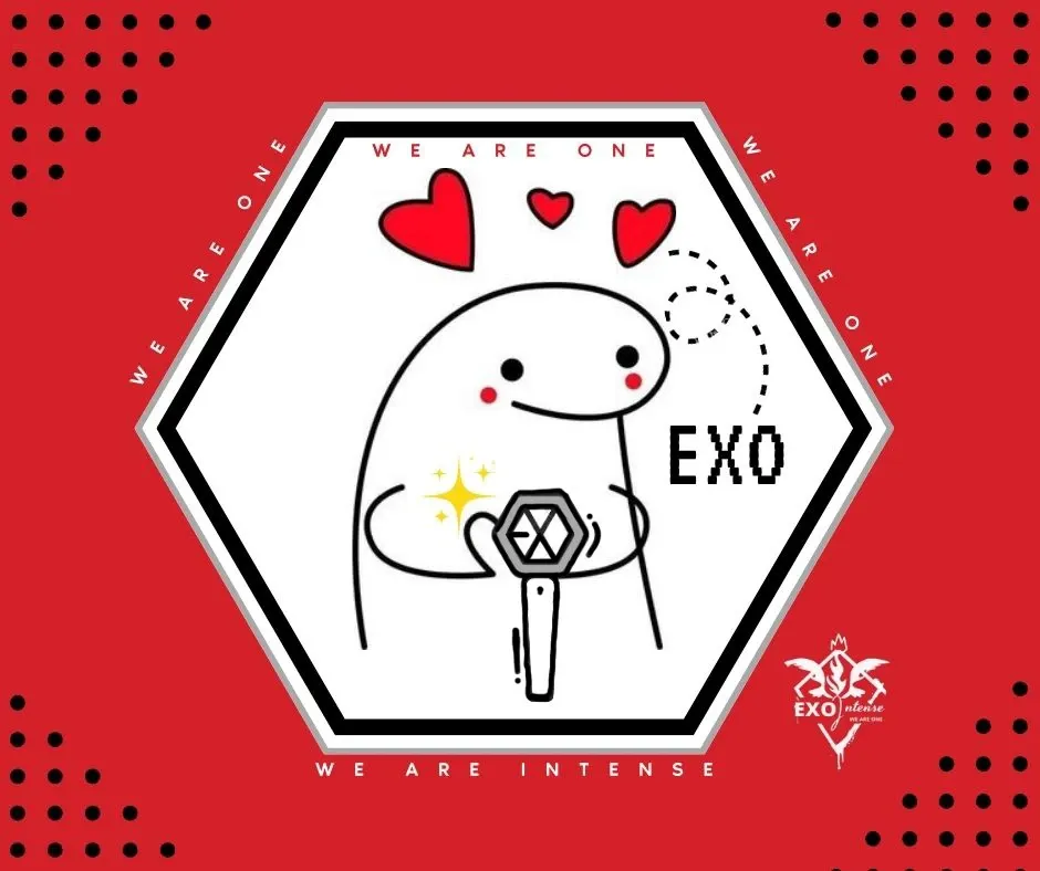 A moment captured by EXO's fan