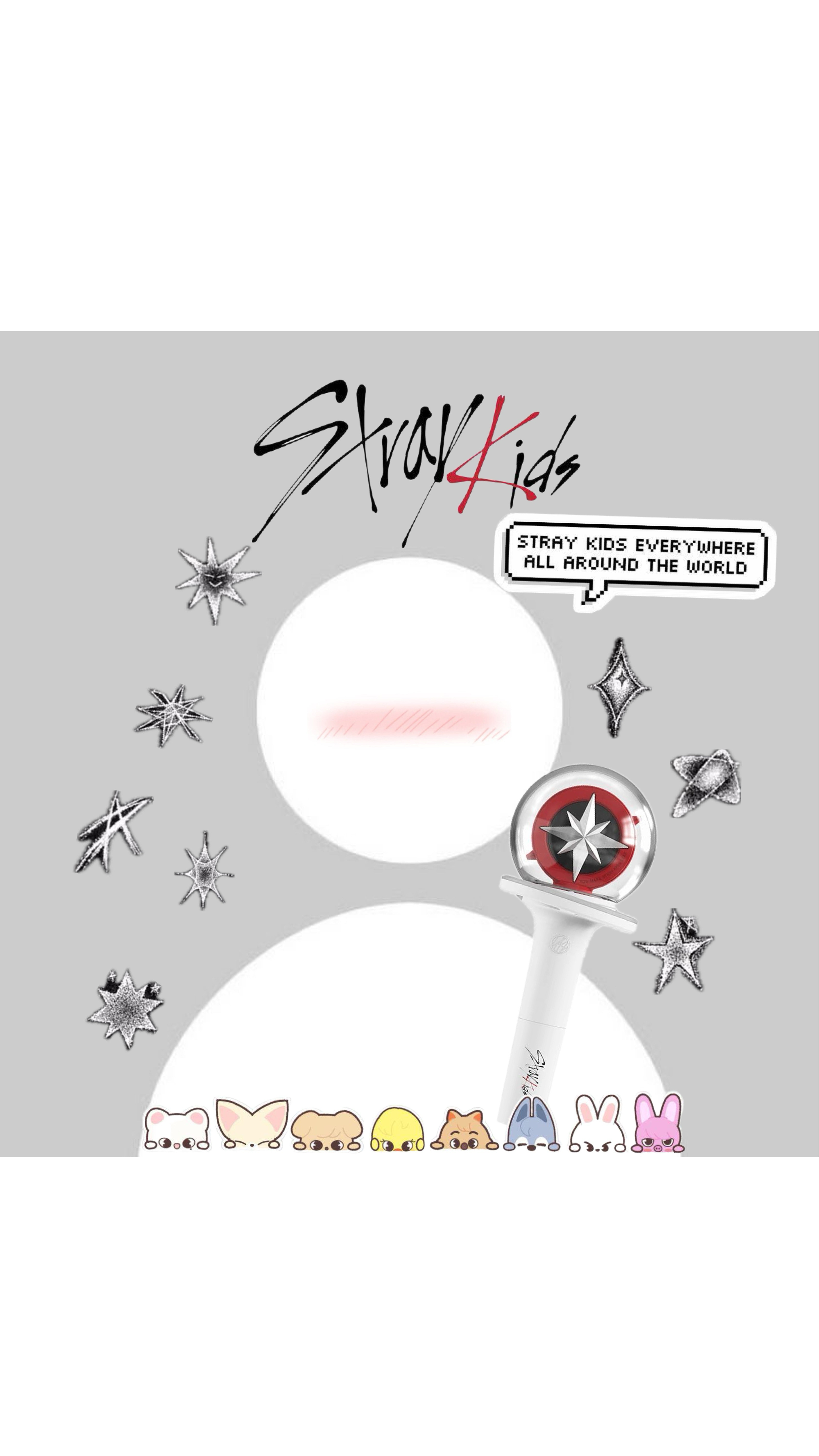 Stray Kids 팬이 찍은 순간